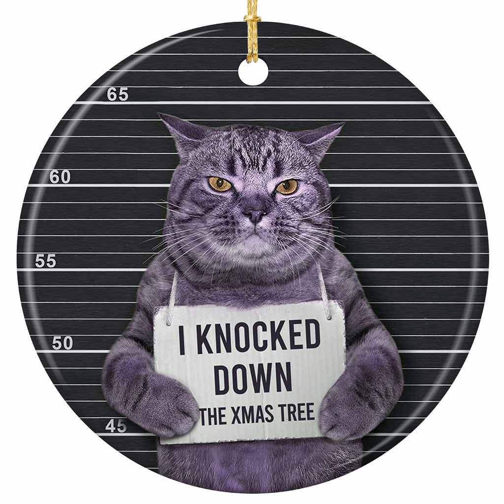 A Scowling Grey Cat Holding a Confession Placard Against a Height Chart. Ceramic Gag Keepsake for Cat Owners.