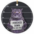 A Scowling Grey Cat Holding a Confession Placard Against a Height Chart. Ceramic Gag Keepsake for Cat Owners.