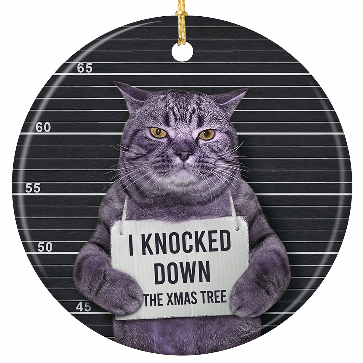 A Scowling Grey Cat Holding a Confession Placard Against a Height Chart. Ceramic Gag Keepsake for Cat Owners.
