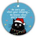 Scruffy Black Cat in a Santa Hat Tangled in Bulb Lights. Ceramic Keepsake for Black Cat Owners.