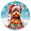 Yorkshire Terrier in an Oversized Santa Hat With Bulb Lights. Ceramic Keepsake for Yorkie Owners.