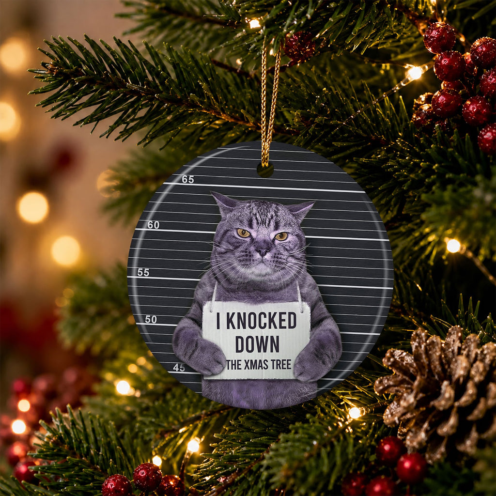 Funny Cat Christmas Ornament, Mugshot I Knocked Down The Tree, Ceramic Hanging Tree Decoration