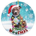Blue-Nose Pit Bull in a Santa Hat With Bulb Lights. Ceramic Keepsake for Pit Bull Owners and Rescue Advocates.