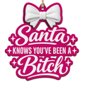 Naughty-Nice Motto Keepsake, Stocking Stuffer For Prankster, Playful Holiday Mantle Accent