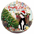 A Smug Tuxedo Cat in a Santa Hat Beside a Lit Tree and a Stocking-Hung Fireplace. Ceramic Keepsake.