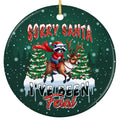 Raccoon in a Santa Hat and Plaid Scarf Riding a Reindeer Past Snowy Pines. Ceramic Novelty Keepsake.